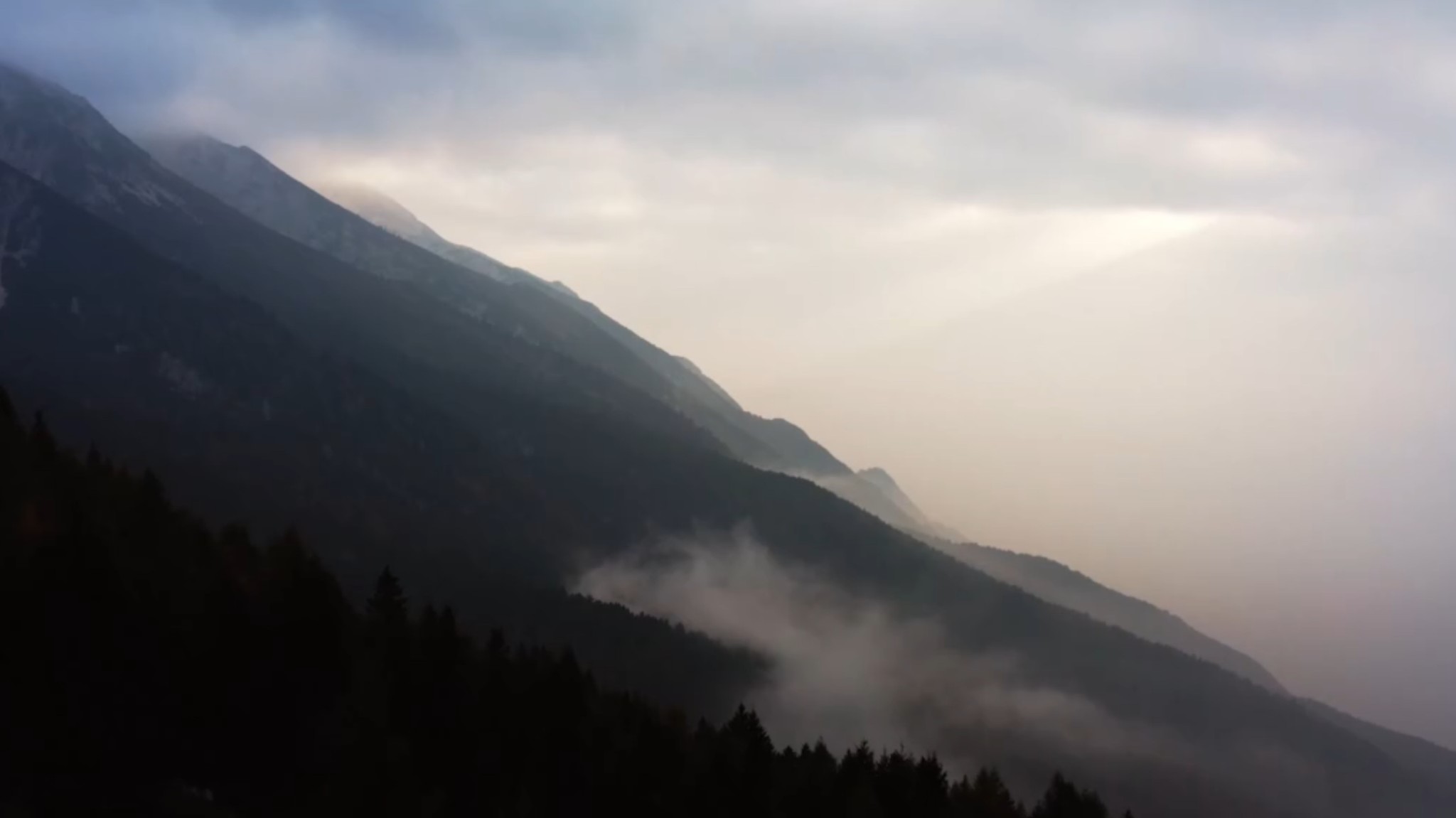 Adidas SS23 gallery 2