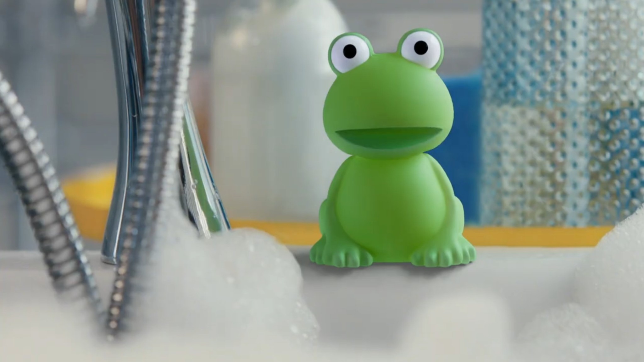 Scholl campaign gallery 1